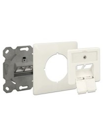 DELOCK Modular Wall Outlet Δικτύου, Cat.6A, 2x LSA, 2 Port