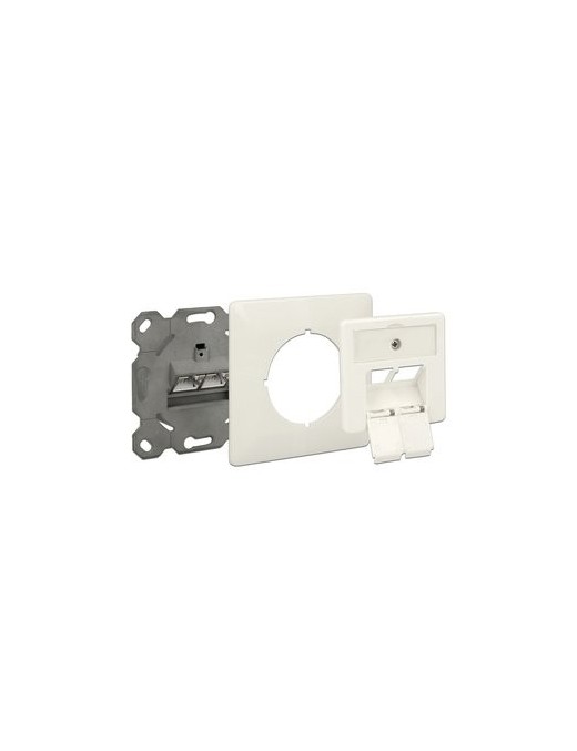 DELOCK Modular Wall Outlet Δικτύου, Cat.6A, 2x LSA, 2 Port