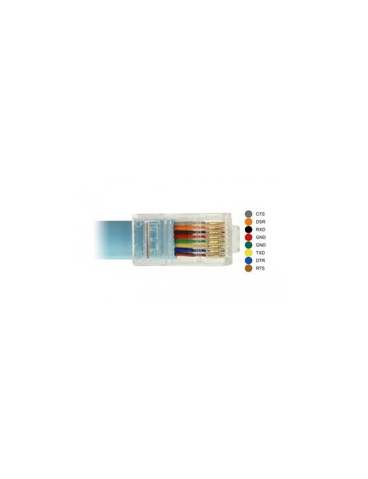 DELOCK Καλώδιο Serial RS-232 DB9 female σε RJ45 male, 1m, μπλε