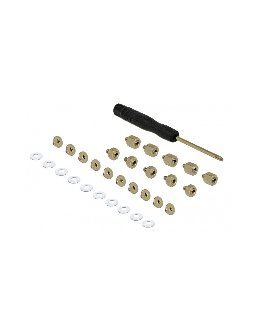 DELOCK Mounting Kit για M.2 SSD / Module, 31τμχ