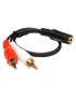 POWERTECH καλώδιο CAB-R017 2x RCA (M) σε 3.5mm 3pin jack (F), CCS, 5m