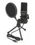 DELOCK Mικρόφωνο studio με pop φίλτρο & αντιανέμιο 66331, πυκνωτικό, USB