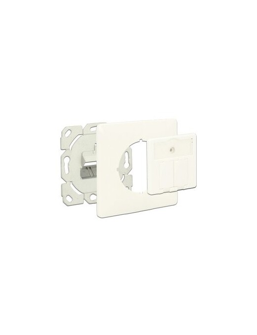 DELOCK Wall Outlet για Keystone 86219, 2 Port