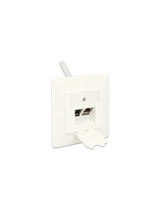 DELOCK Wall Outlet για Keystone 86219, 2 Port