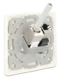 DELOCK Wall Outlet για Keystone 86219, 2 Port