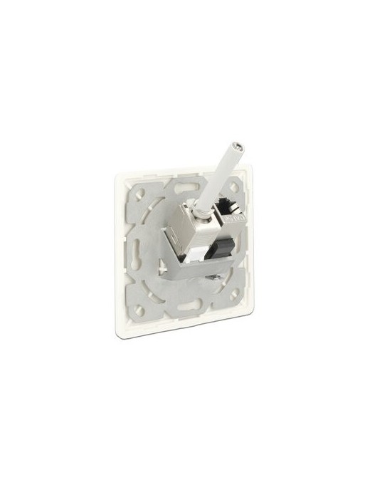 DELOCK Wall Outlet για Keystone 86219, 2 Port
