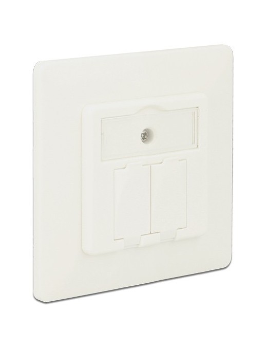 DELOCK Wall Outlet για Keystone 86219, 2 Port